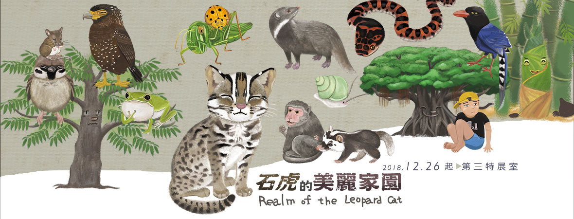 Realm of the Leopard Cat