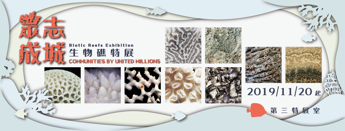 Biotic Reefs Exhibition