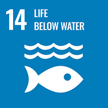 SDG 14 保育海洋生態